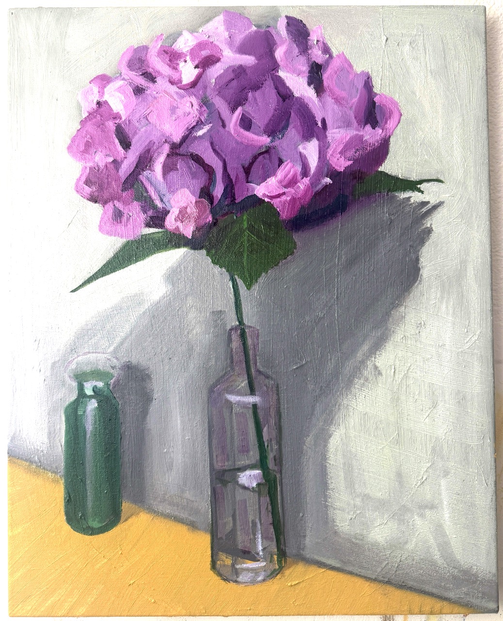 Hydrangea